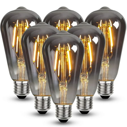 Roomrite LED Vintage Light Bulb, Edison Bulbs 4W (40W Equivalent) ST19 Warm Light Bulbs 2400K 300LM E26 Base,Non-Dimmable,Smoky-Gray Glass - 6 Pack