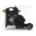 Wayne PC4 Transfer Water Pump, Cast Iron, 1/2 HP, 115Volt