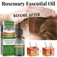 thumbnail image 3 of 2Pcs Aceite para el cabello de romero de 30ml, nutritivo para el cuero cabelludo, estimula el crecimiento del cabello, aceite para el cuidado del cabello, champú para el crecimiento del cabello, 3 of 5
