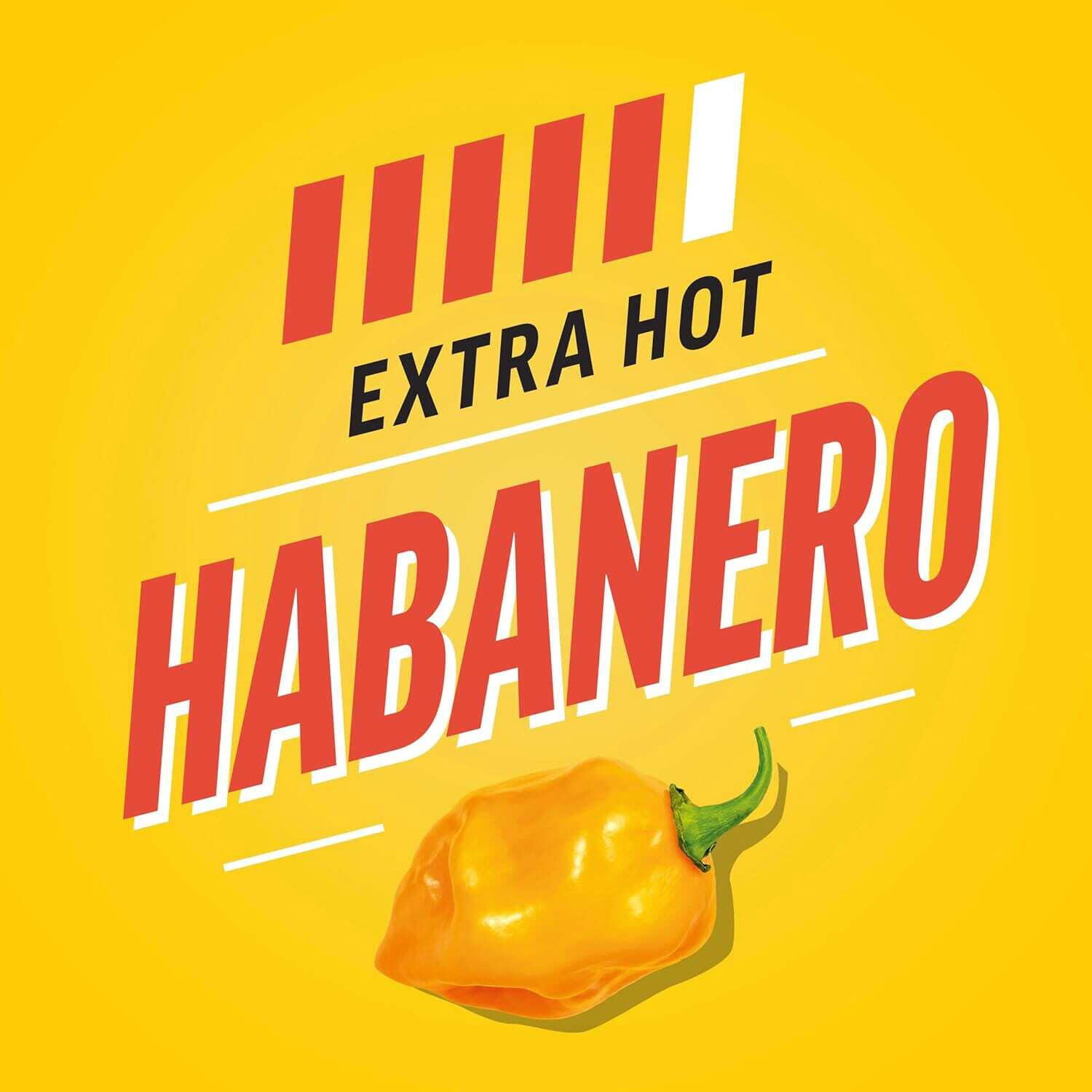 (6 pack) Heinz Tomato Ketchup Blended With Habanero Inverted Squeeze Bottle, 1 Bottle, for Easy Sharing and Easy Serving, Extra Hot, 14 oz
