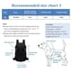 thumbnail image 2 of Mochila transportadora para mascotas, mochila transportadora frontal ajustable para perros y gatos, bolsa de viaje, fácil de ajustar para viajes, caminatas y campamentos, 2 of 7