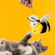 thumbnail image 5 of Juguete interactivo de peluche para gatos | Juguete eléctrico para mascotas que hace ruido | Tela suave, duradera y esponjosa | Funda lavable desmontable | Movimiento y sonido realistas | 4,33 x, 5 of 7