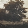 thumbnail image 3 of My Texas House Grassland Riverside Framed Wall Art 20x20, 3 of 5