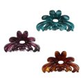 thumbnail image 1 of Accesorio De Clip De Garra De Color Acrílico Sunnimix 3 Piezas, 1 of 8