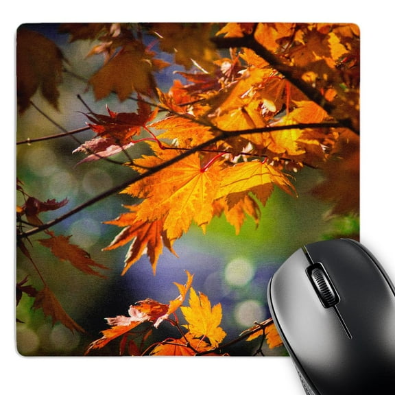 3dRose, Orange leaves of a Japanese maple tree, colorful background in autumn, MousePad