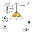 thumbnail image 2 of Kiven Style Victorian Plug in Pendant light1- Light Ceiling hanging Lamp with 11-Inch Glass Shade,Dimmable, 2 of 6