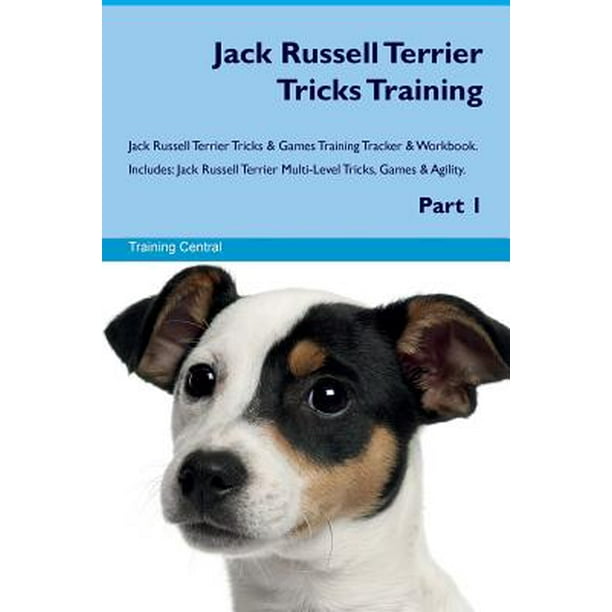 Jack Russell Terrier Tricks Training Jack Russell Terrier Tricks