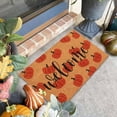 thumbnail image 3 of Eqslft hanksgiving Coir Welcome Doormat Autumn Pumpkin Natural Coir Floor Mat Fall Orange Green Plaid Non- Entrance Door Rugs for Autumn Fall Entryway Decor, 3 of 4