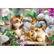 thumbnail image 1 of DIY 5D Diamond Painting Cartoon Cat by Number Kits, Cat Diamond Art for Adult Full Drill Rhinestone Embroidery Pictures Arts Craft for Home Wall Decor, 1 of 4