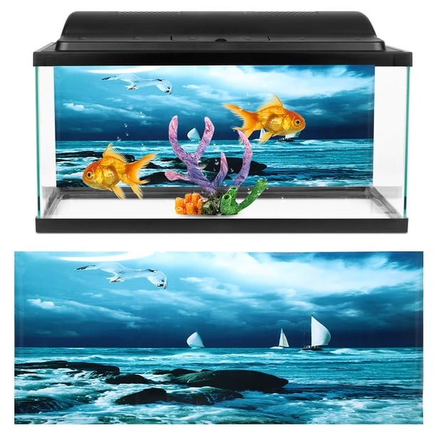 Photo inspiration: Fresh Look at Haofy Fish Tank Poster Pvc Fish Tank Background For Fish