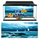 thumbnail image 3 of Fondo De Pecera, Póster Impermeable Para Pecera, Baño Para Pecera, Acuario, Interior Y Exterior Ccdes Otros, 3 of 8