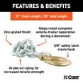 thumbnail image 2 of CURT 80315 35-Inch Trailer Safety Chain with 3/8-In Clevis Snap Hook, 16,200 lbs Break Strength, 2 of 6
