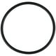 thumbnail image 1 of Cinturón de reemplazo para accesorios de la máquina de moneda parte de reemplazo para máquinas de conteo de efectivo Cinturón de contador de dinero Reemplazo, 1 of 6