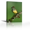 thumbnail image 1 of Great Crested Flycatcher with insect, Adirondack Mountains, New York - Contemporary Fine Art Giclee on Canvas Gallery Wrap - wall décor - Art painting - 23 x 36 Inch - Ready to Hang, 1 of 2
