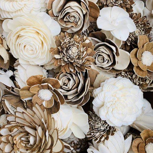 Luv My Flowers Wholesale Sola Wood Flower Skin Assortment 50 Pack Walmart Com Walmart Com