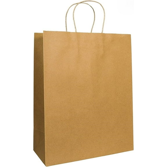 Watson Distributing 13" x 9" x 15" Paper Bag Round Handle 150/Case