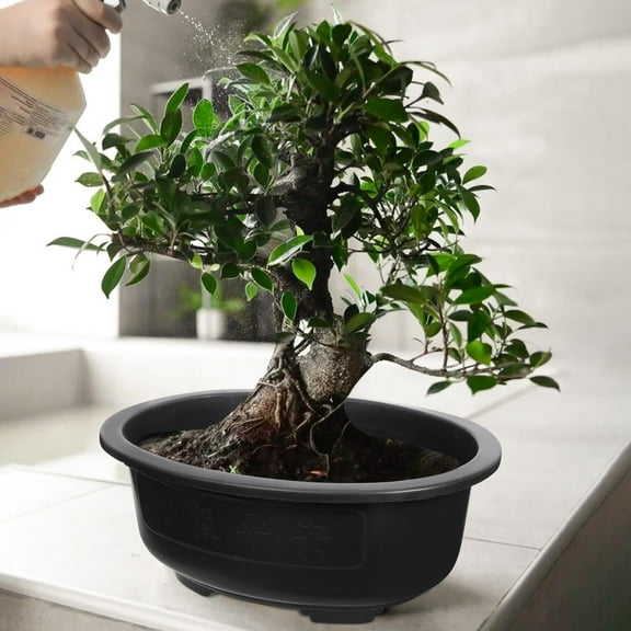 LULULION 2Pcs Large Black Plastic Bonsai Planter Pot with Drainage Holes for Home and Office Gardening