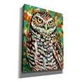 thumbnail image 2 of Epic Graffiti 'Furry Feather Friends II' by Carolee Vitaletti Canvas Wall Art, 26"x34", 2 of 3