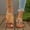 Rose Gold, variant on Summer Slippers Women Solid Color Braided Simple Daily Beach Slippers Yellow 7.5(40)