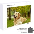 thumbnail image 5 of Coolnut 500 PCS Jigsaw Puzzles, Artwork Gift for Adults Teens Cute Golden Retriever Sitting in The Outside Wooden Puzzle Games, 20.5" x 14.9" 500 Pieces, 5 of 6