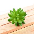 thumbnail image 1 of 10x Fake Succulents Small Vivid Useful Simulated Plants Multi-functional Lifelike Photo Props for Household Yards Lawn Flowerpot Type 10, 1 of 9