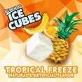 thumbnail image 2 of Ice Breakers Ice Cubes Sugar Free Gum, Tropical Freeze, 40 Piece, 2 of 4