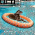 thumbnail image 1 of Flotadores para perros para piscina, flotador inflable para piscina para perros cachorros, flotadores grandes para piscina para perros, flotadores para perros, 1 of 1