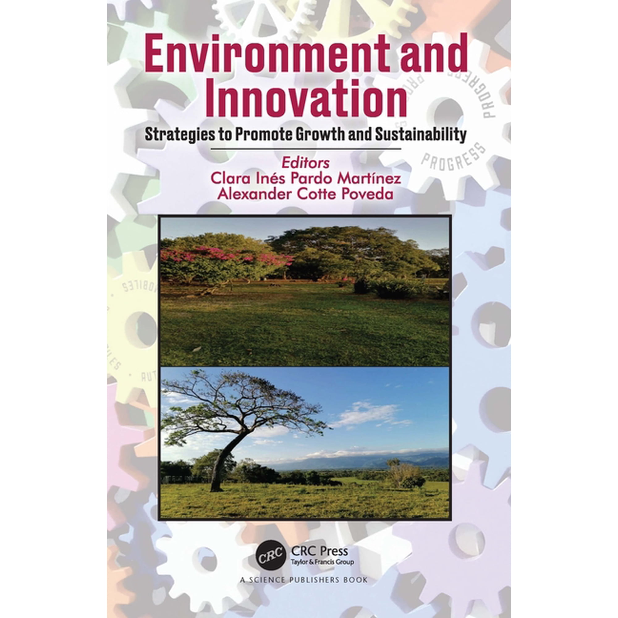 Environment and Innovation: Strategies to Promote Growth and Sustainability (Hardcover)