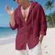 thumbnail image 1 of Blusa de manga larga con capucha para hombre, color liso, moderna, holgada, informal, con botones y cordón, de poliéster., 1 of 9