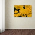 thumbnail image 4 of Trademark Fine Art "Ginkgo in the Rain" Canvas Art by Philippe Sainte-Laudy, 4 of 4