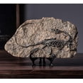 thumbnail image 3 of XINDAM Resin Dinosaur Fossil Statue Model Simulated Skeleton Home Office Display Decorative Craft Box Decoration (Style 1), 3 of 4