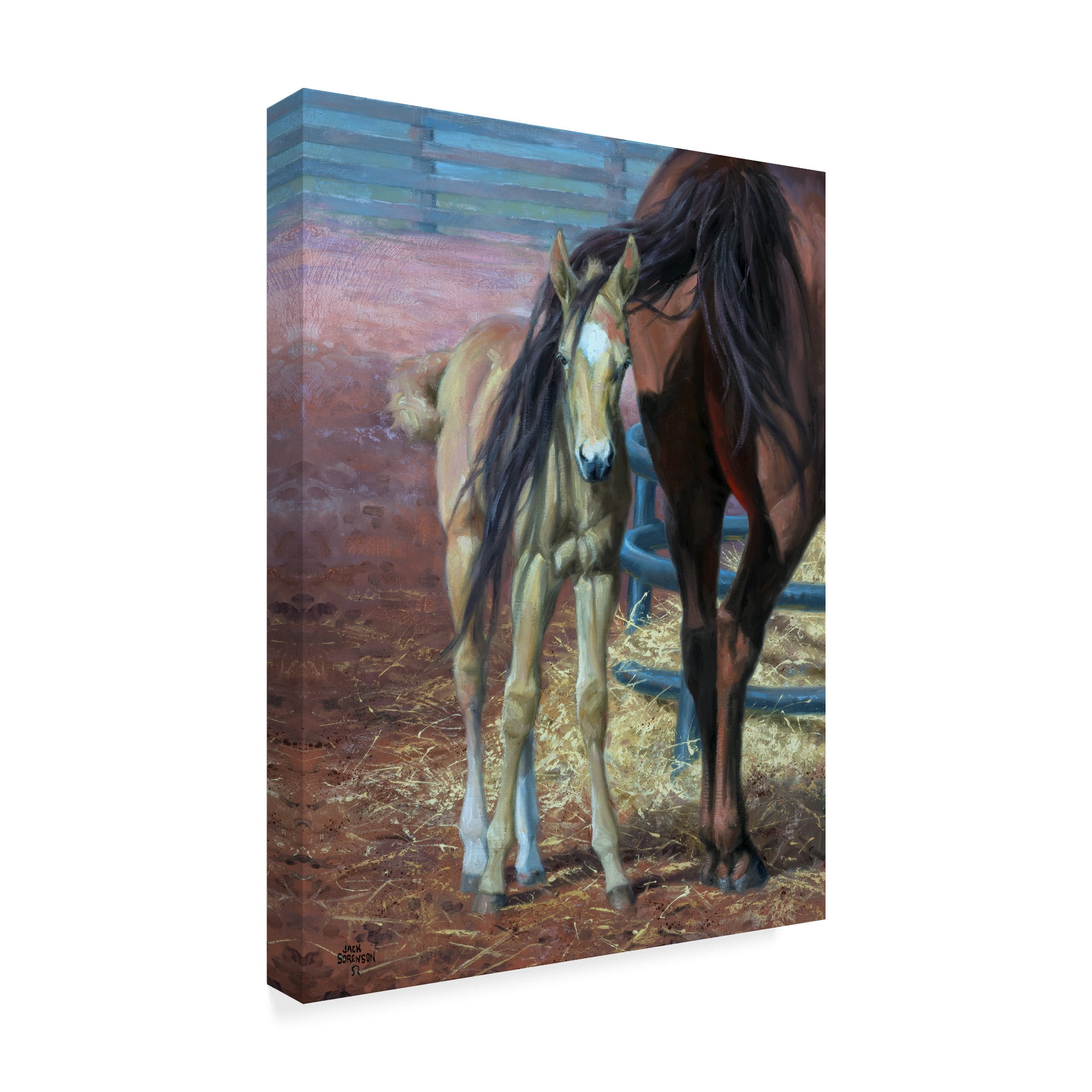 Trademark Fine Art 'Horses Bad Hair Day' Canvas Art by Jack Sorenson