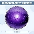 thumbnail image 2 of BESTSKY Exercise Ball,21.65in Balance Ball,Anti-Slip Pregnancy Ball,Purple, 2 of 7