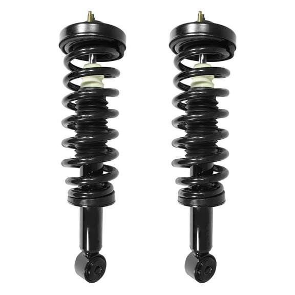 Unity Automotive Front Complete Strut Assembly Kit Fits 2004-2008 Ford F-150, 2-11206-001
