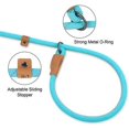 thumbnail image 2 of Slip Lead Dog Leash, Reflective Mountain Climbing Rope Leash, Dog Training Leash – 5FT, 2 Sizes (Medium, Turquoise) Turquoise Medium Turquoise Medium Turquoise Medium, 2 of 5