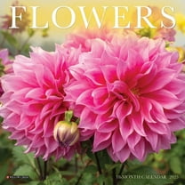 Flowers 2025 7 X 7 Mini Wall Calendar, (Paperback)