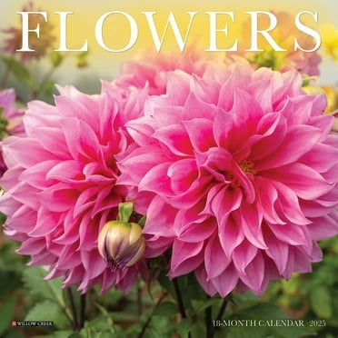 Flowers 2025 7 X 7 Mini Wall Calendar, (Paperback)