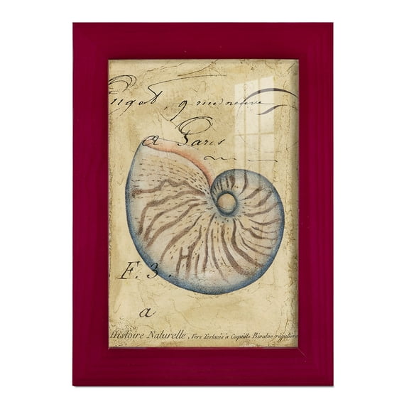 Seashell Ephemera II - Framed Print w/glass - Cherry Red