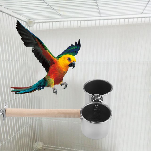 Tazas Con clip para pájaros NikouMX acero inoxidable taza alimentadora loros