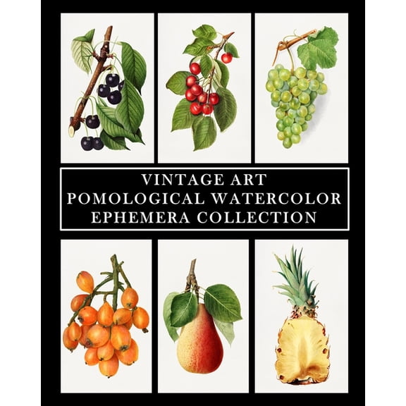Vintage Art: Pomological Watercolor: Ephemera Collection: Botanical Fruit Prints, (Paperback)