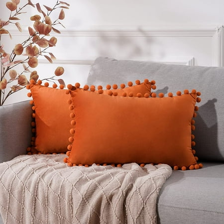 

Top Finel Burnt Orange Lumbar Pillow Covers 16x16 Set of 2 Soft Velvet Pillowcases with Tassel Rectangle Decorative Cushion Covers Couch Sofa Slip Cover for Bedroom Livingroom Porch Bench Chair
