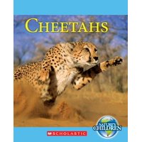 Cheetahs