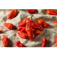 thumbnail image 2 of 20 Seeds GHOST PEPPER SEEDS Blazing Hot Naga Bhut Jolokia Cobra Chili Vegetable Seeds, 2 of 9