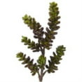 thumbnail image 4 of Nearly Natural 5ft. Autumn Maple Artificial Fall Tree, 4 of 4