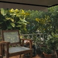 thumbnail image 7 of ALEKO 13' x 10' Manual Retractable Sand Patio Awning Sunshade, 7 of 7