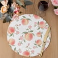 thumbnail image 3 of Peach Round 13 Inch Placemats Set of 6, Spring Floral Green Leaf Botanical Pink Fruit HeatResistant Non Slip Place Mats for Dining Table, Wipeable Braided Kitchen Table Mats for Housewarming, 3 of 9