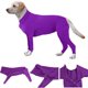thumbnail image 1 of Mono de protección postoperatoria de manga larga para perros, alternativa al collar electrónico para recuperación, morado, talla XXL, 1 of 7