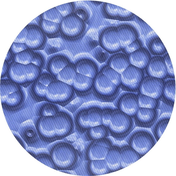 Ahgly Company Machine Washable Indoor Round Transitional Sky Blue Area Rugs, 4' Round