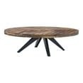thumbnail image 3 of Moe's Home Collection Parq Oval Coffee Table Amber, 3 of 8