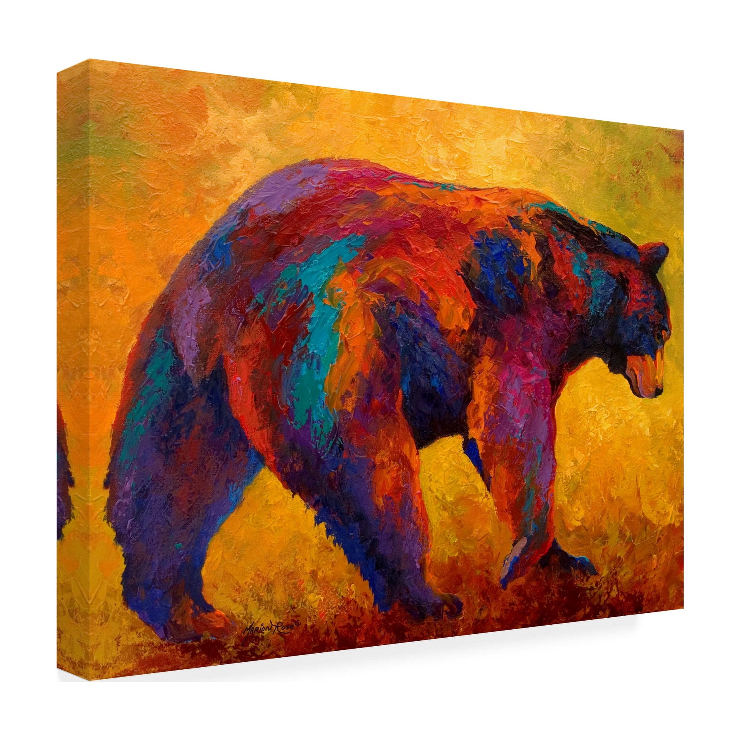 Marion Rose 'Daily Rounds Black Bear' Canvas Art